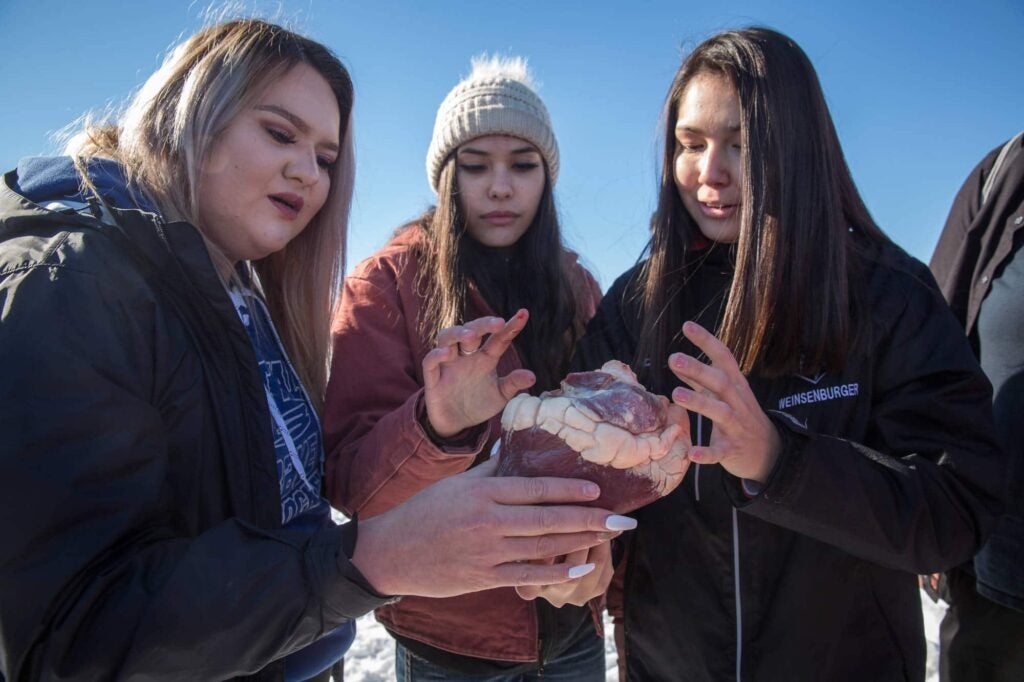 Three brown-haired Blackfeet tribal members holding a bison heart with manicured fingers