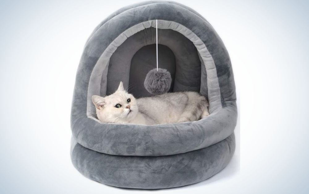 Petit lit pour chat gris foncé avec un petit chat dedans