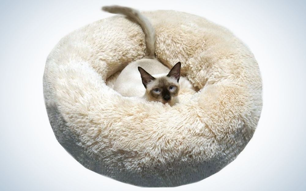Beige weiches Plüsch rundes Katzenbett mit einer kleinen Katze darin