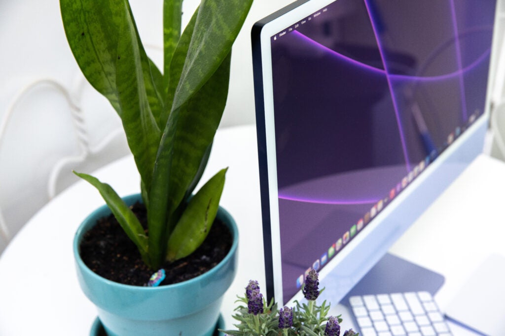 Apple iMac desktop computer on a desk next to a plant