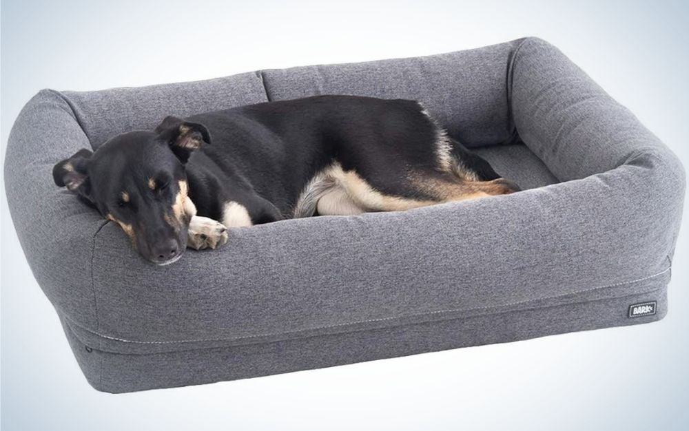 A black dog who sleeps peacefully on his gray bed with raised sides to serve as support for the dog.