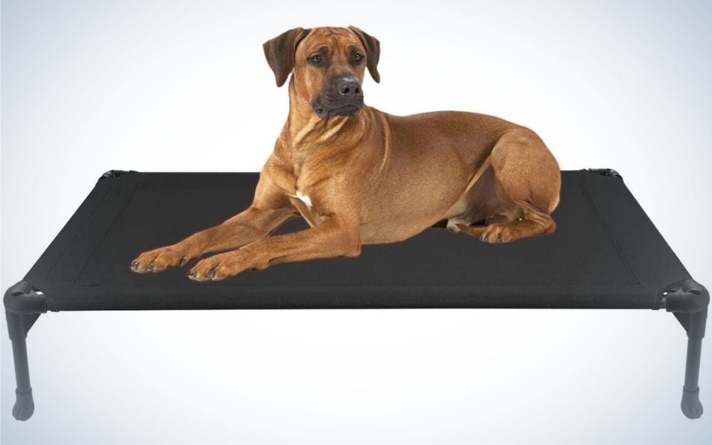 A large brown dog which is standing on its flat and strong black seat.