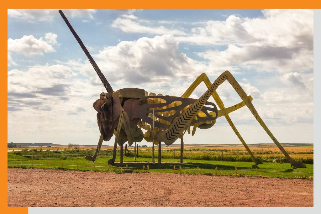 giant grasshopper statue on the enchanted highway