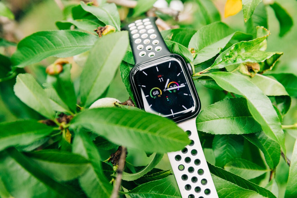 apple watch series 6 on tree branches