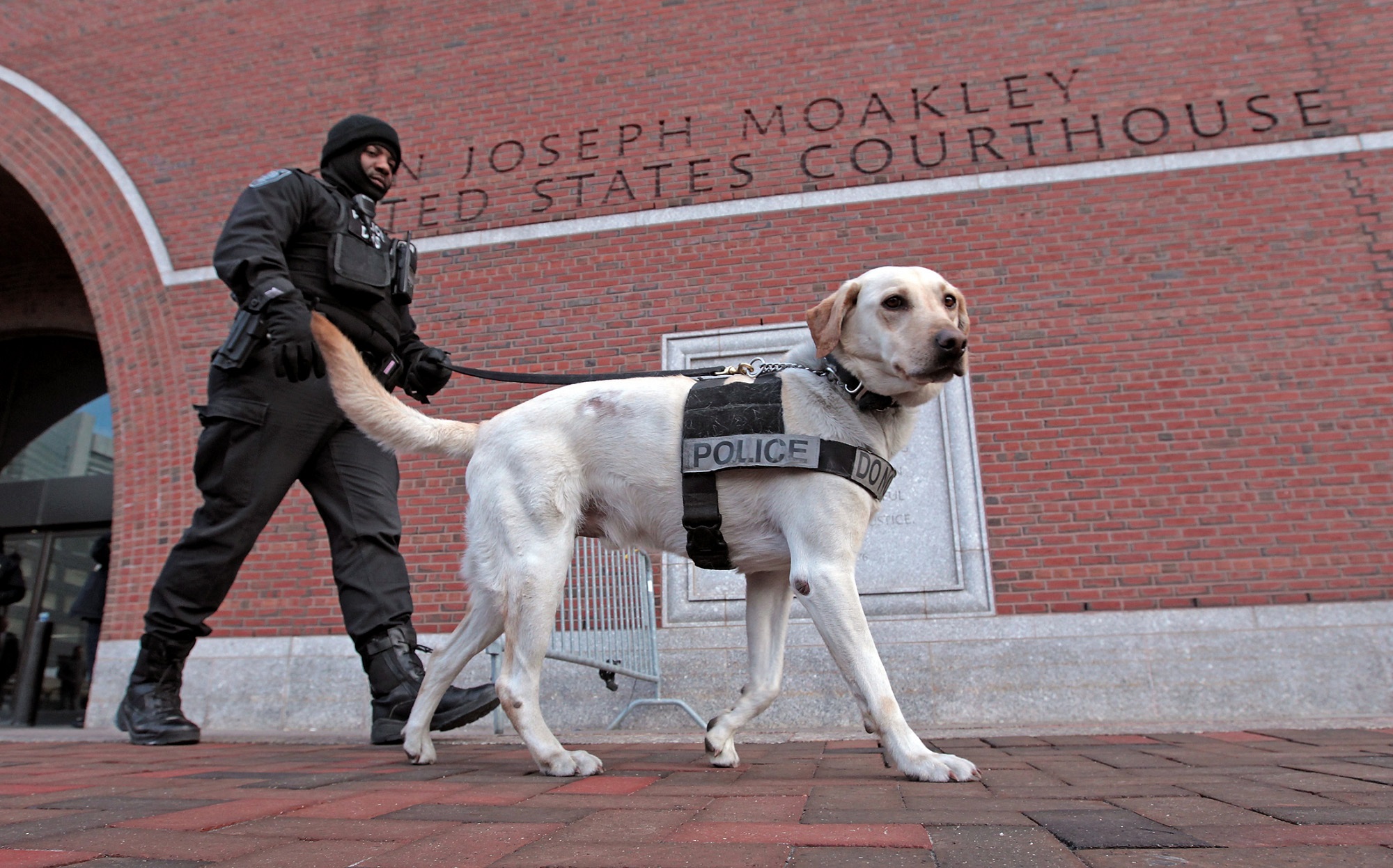 A Labrador retriever smelling for explosives with a member of a bomb squad at the trial of the 2015 Boston Marathon bomber