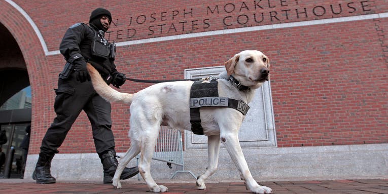No machine can beat a dog’s bomb-detecting sniffer
