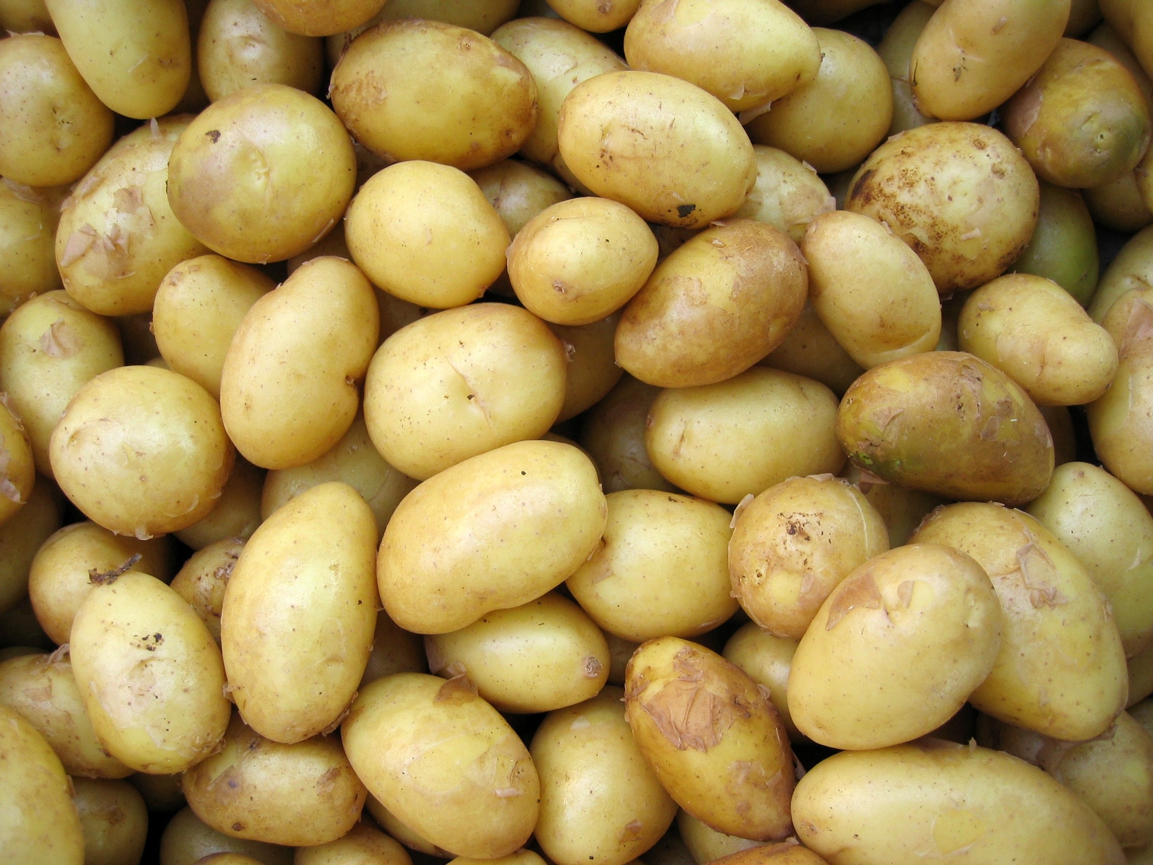 tons of potatoes