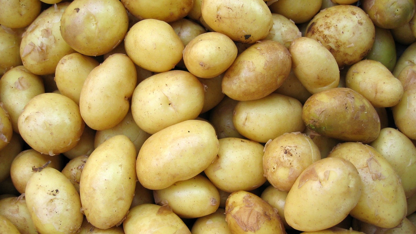 tons of potatoes