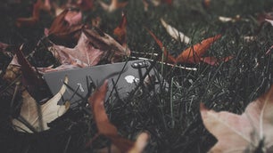 iPhone in the grass
