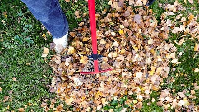 a person raking leaves with a red rake