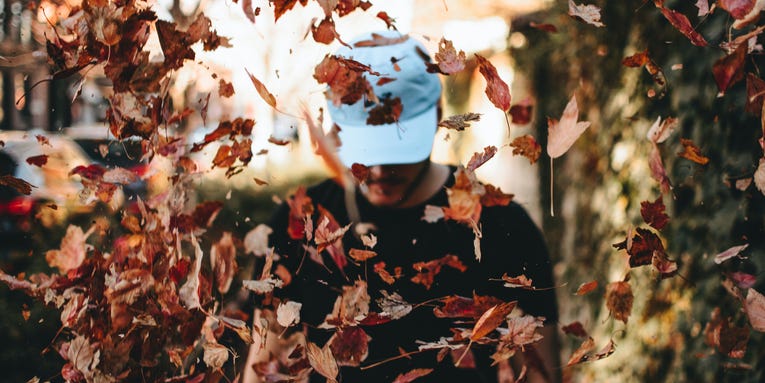 The best way to get rid of leaves this fall