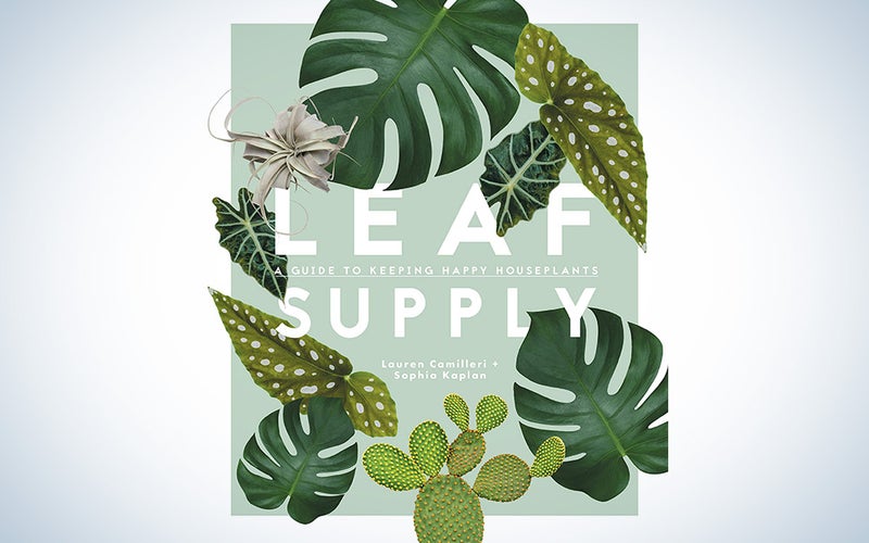 Leaf Supply: A Guide to Keeping Happy House Plants
