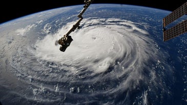 hurricane florence from space