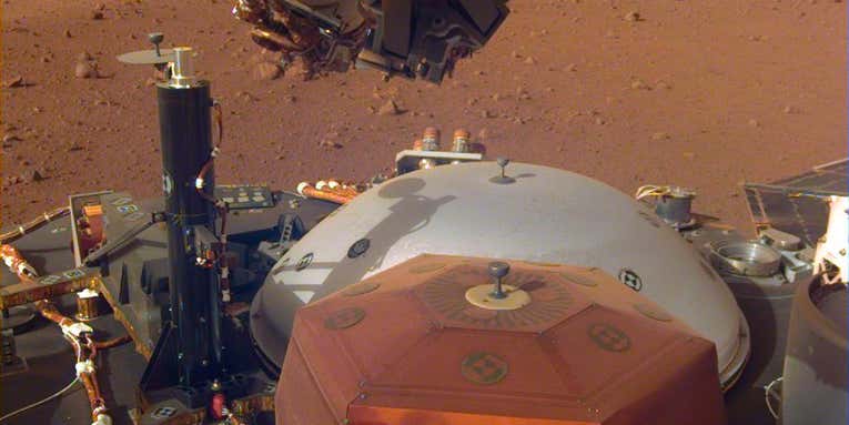 MEGAPIXELS: This is a Martian selfie from the InSight lander