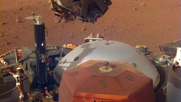 insight lander set up mars