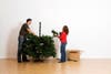 couple building an artificial christmas tree