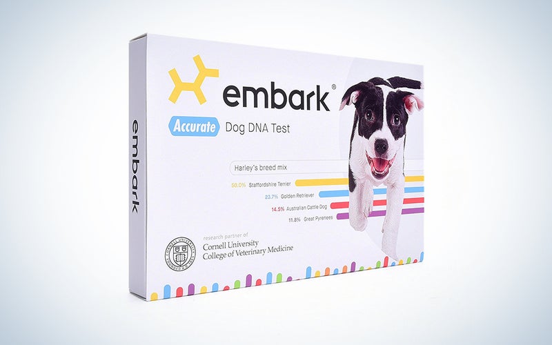 Embark Dog DNA Test Kit