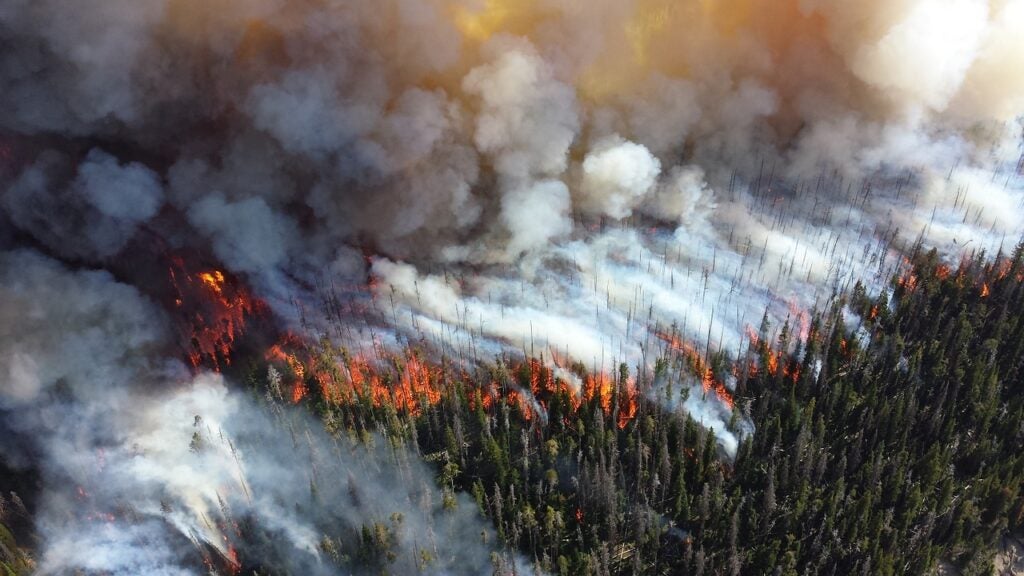 Wildfire from above