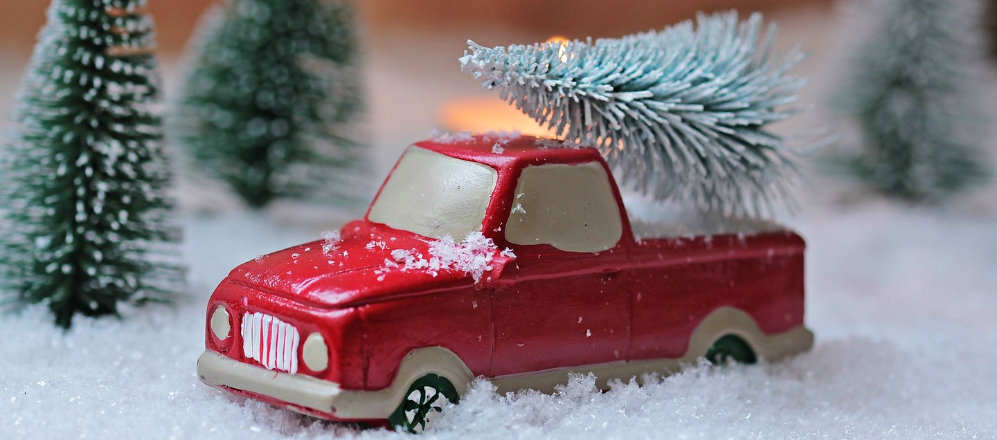 Red toy truck carries a small recycled Christmas tree