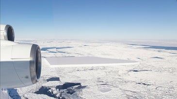 Aerial shot of a flat, rectangular iceberg floating in a sea of smaller pieces of ice. 