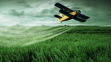 A plane sprays a field with pesticides. 