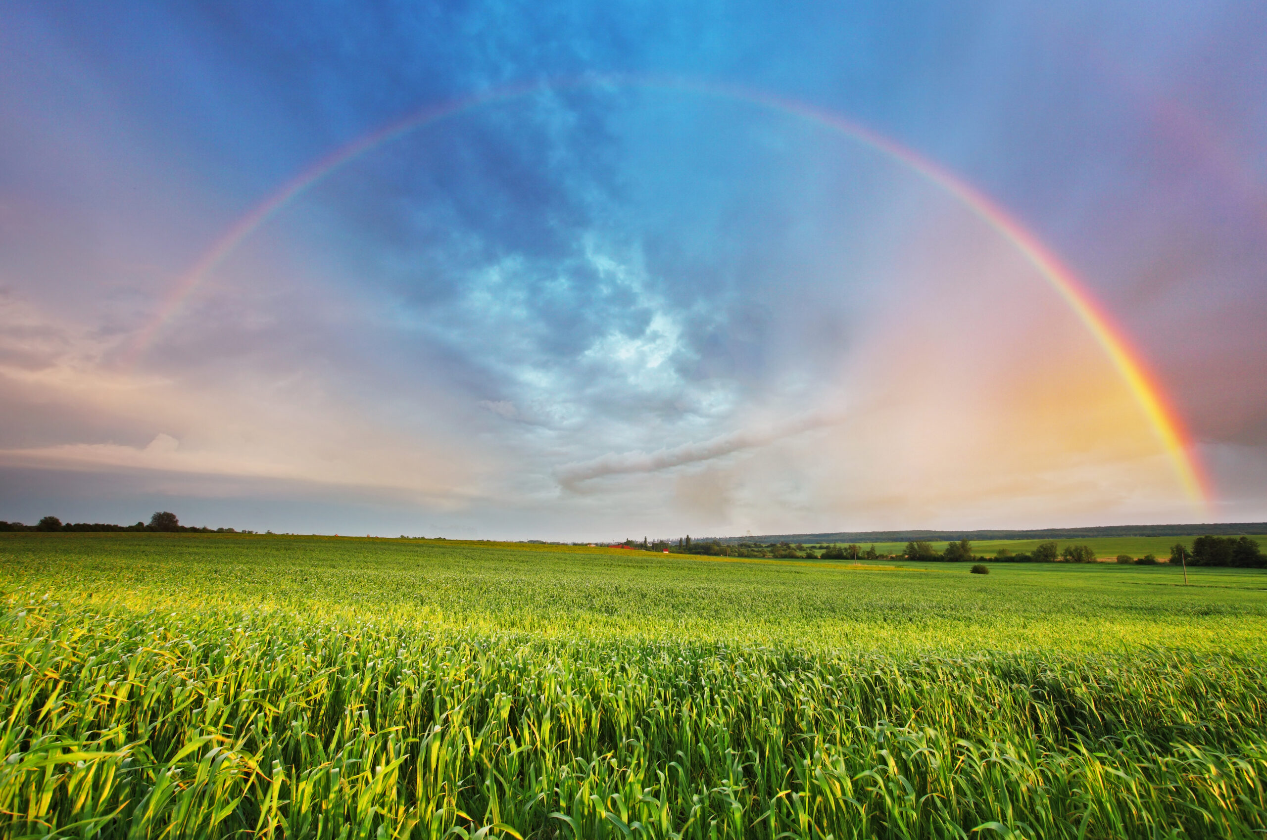 How are rainbows formed? With simple atmospheric science.
