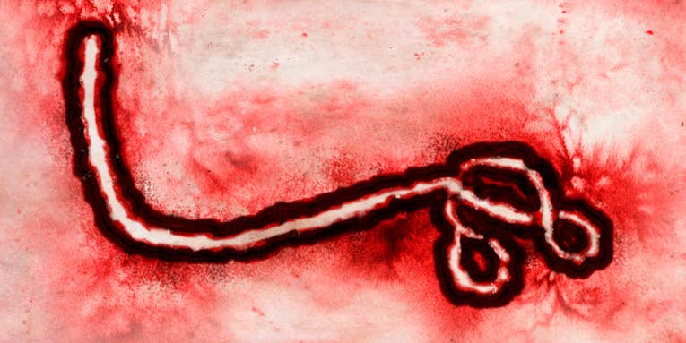 Can this flu drug really stop Ebola in its tracks?