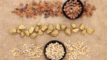 What are frankincense and myrrh, anyway?