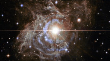 a nebula in space with a bright star in the center 