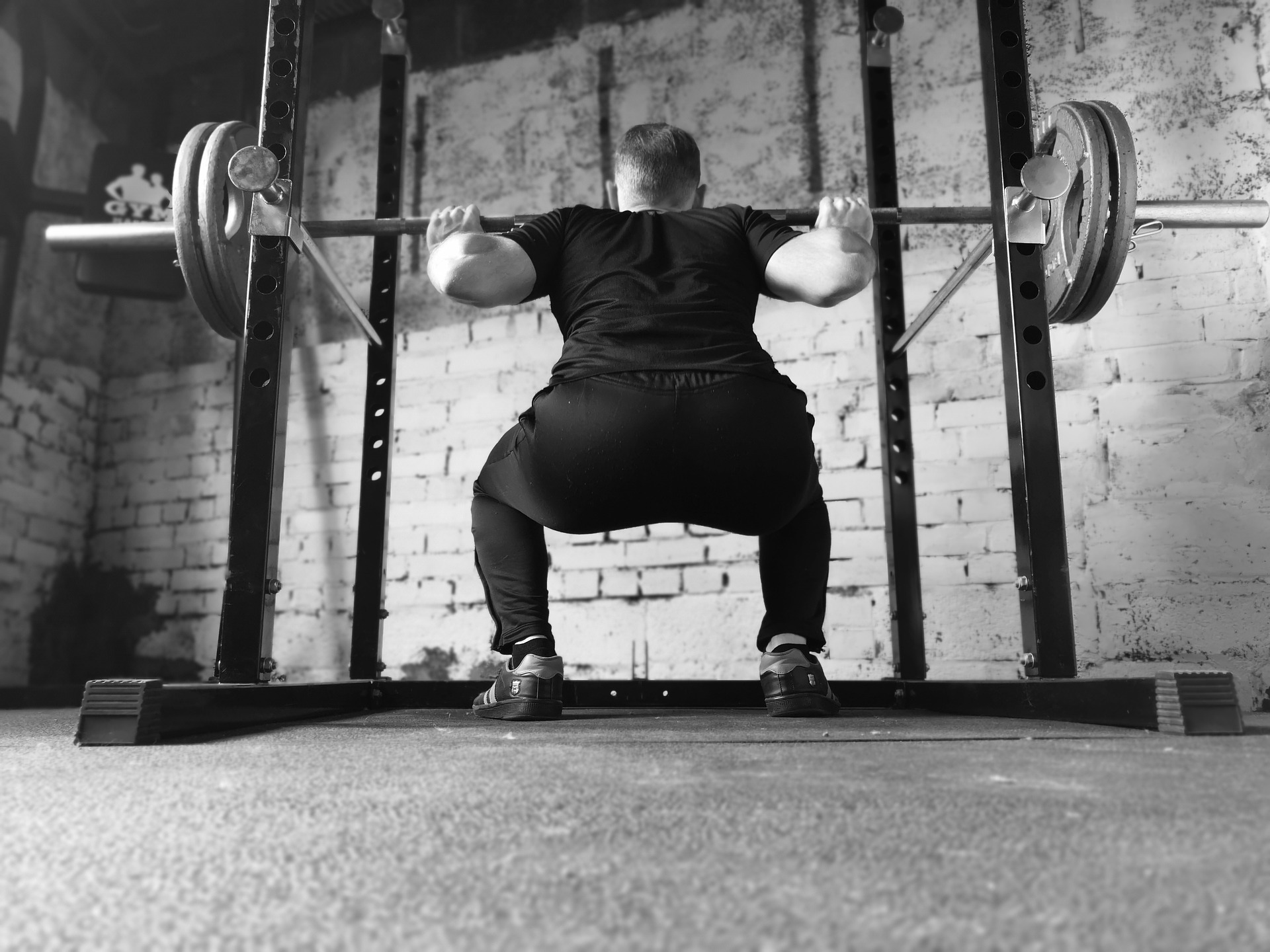 What muscles do squats work?