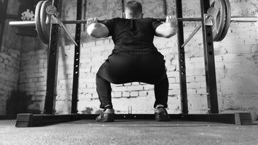 squat barbell muscle