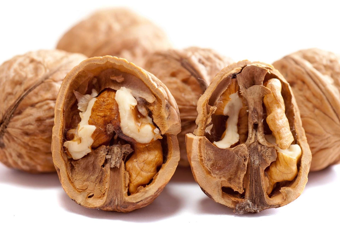 inside of walnut