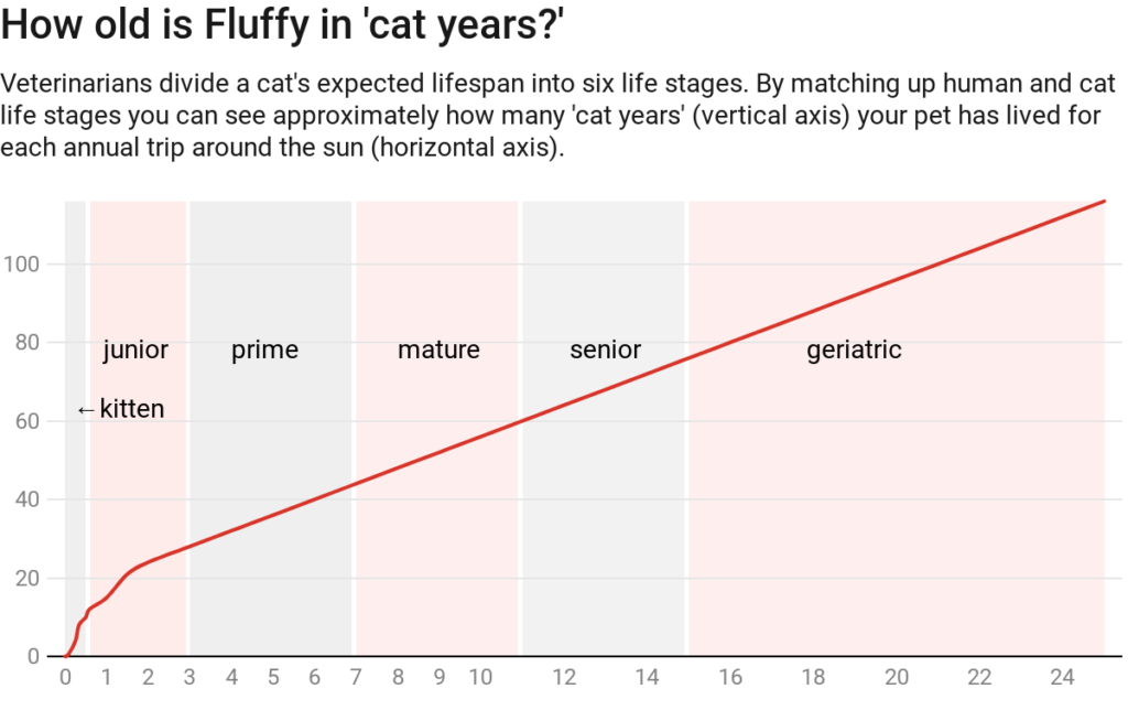 chart of dog and cat years