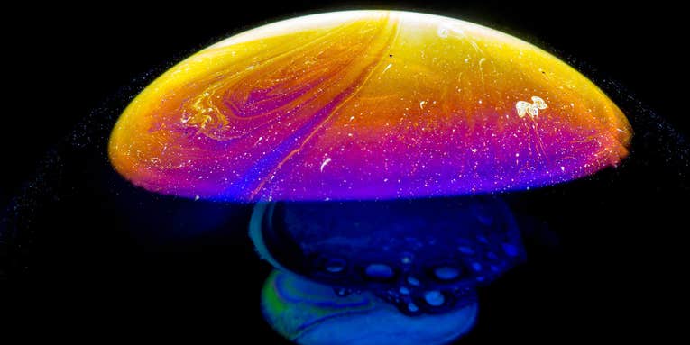 Study: Magic mushrooms are the safest drug