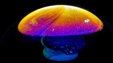 Psychedelic mushroom bubble