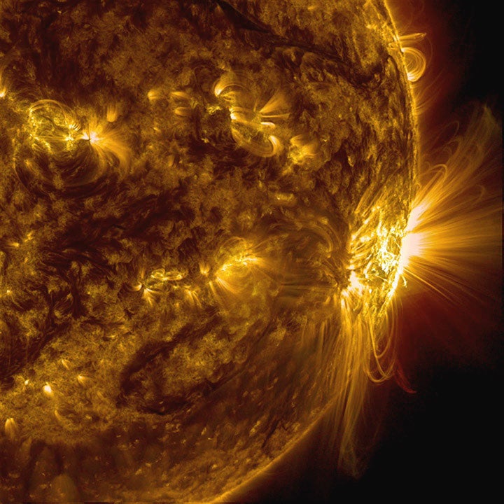 Coronal loops on the surface of the sun
