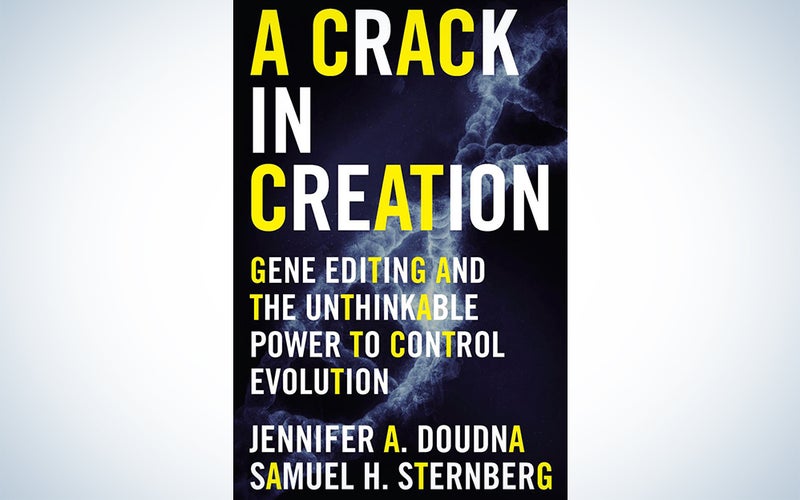 crack in creation