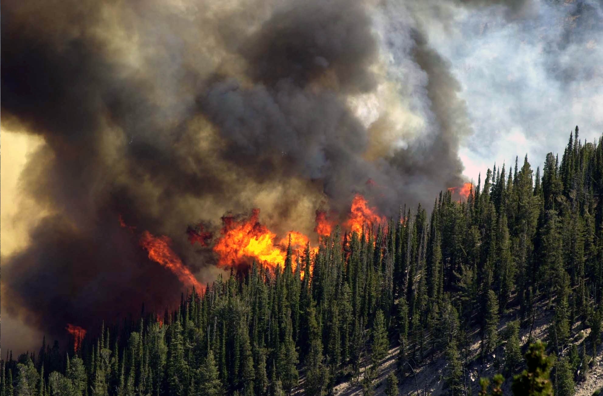 Humans are responsible for the vast majority of wildfires in the U.S.