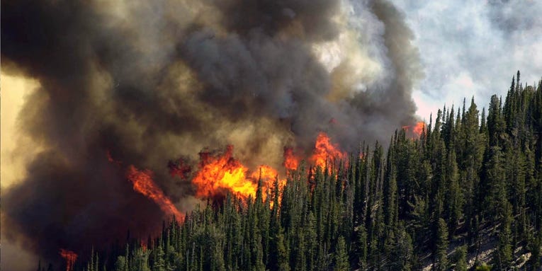 Humans are responsible for the vast majority of wildfires in the U.S.