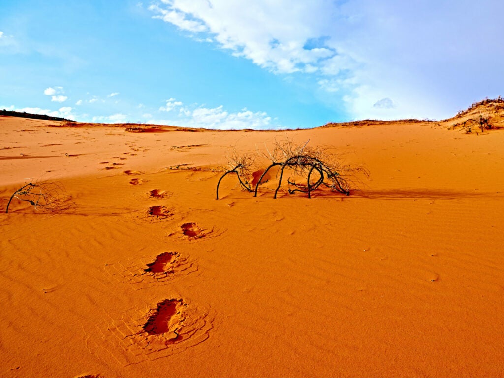 footprints in desert