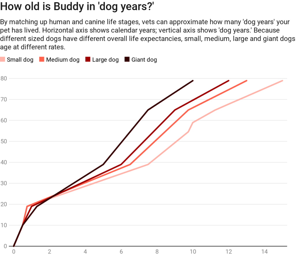 chart of dog years and breeds