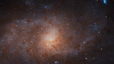 Megapixels: New Hubble image offers a detailed look at the Triangulum Galaxy