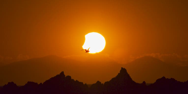 How to photograph the solar eclipse: The only guide you need