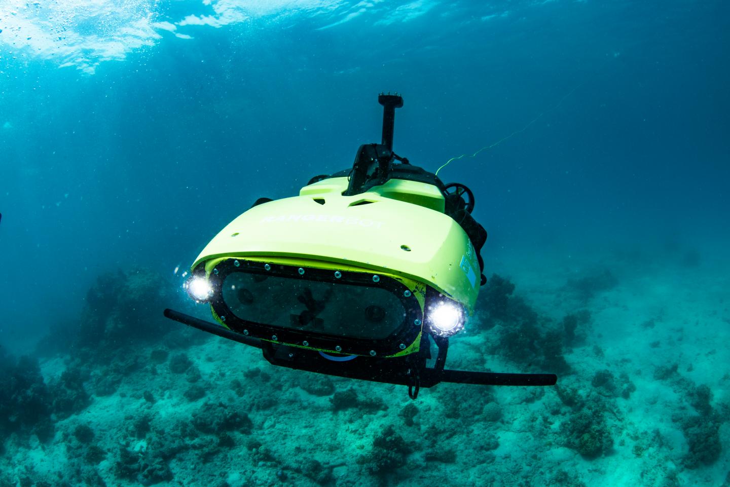 This robot plants heat-resistant corals to save endangered reefs
