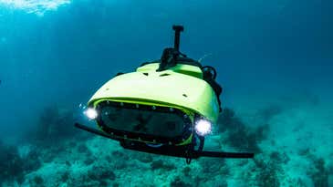 This robot plants heat-resistant corals to save endangered reefs