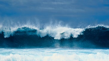 Wave climate change science