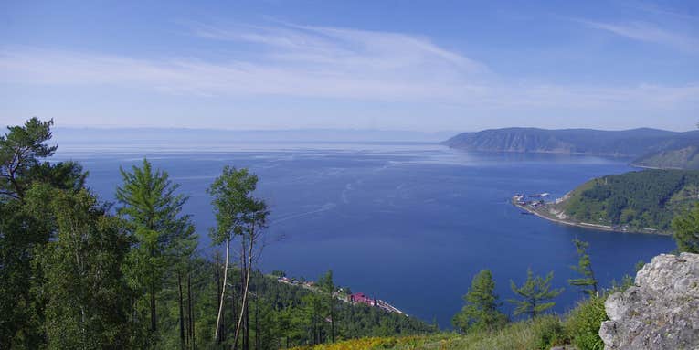 The world’s oldest, deepest lake is full of life. Humans are changing that.