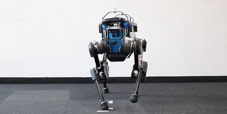 Artificial intelligence made this robot dog a very good boy