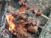 meat roasting on an open fire