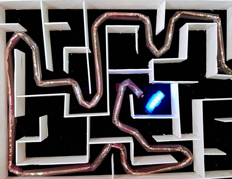 Soft plant-inspired robot navigates a maze